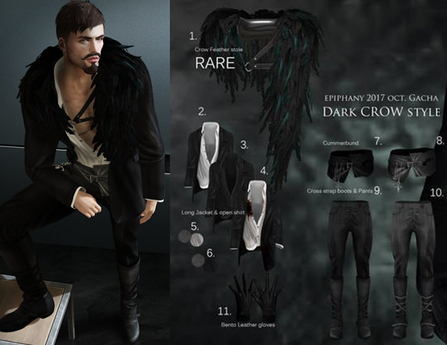 Dark Crow Kit Adult Black main image 1